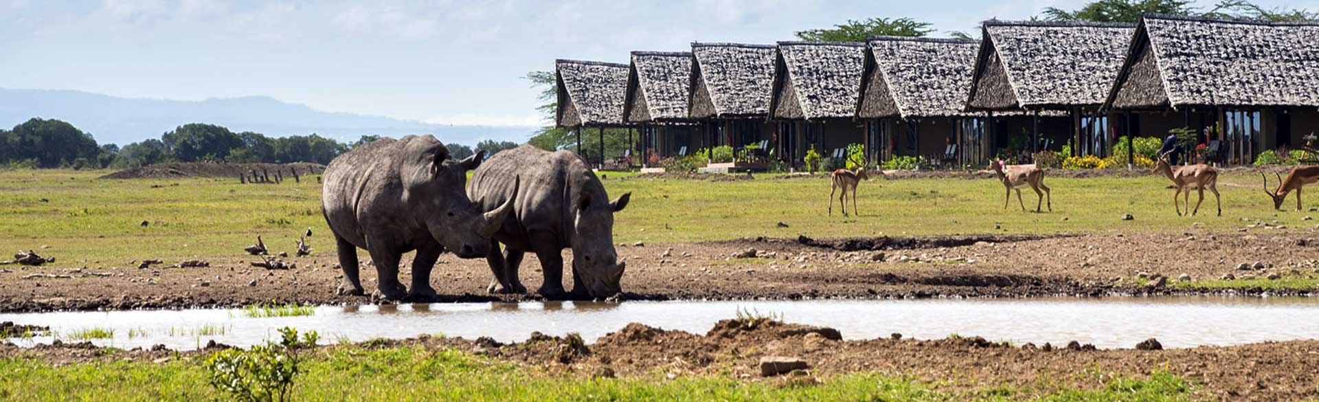 Samburu Sweetwaters Nakuru Masai Mara safari