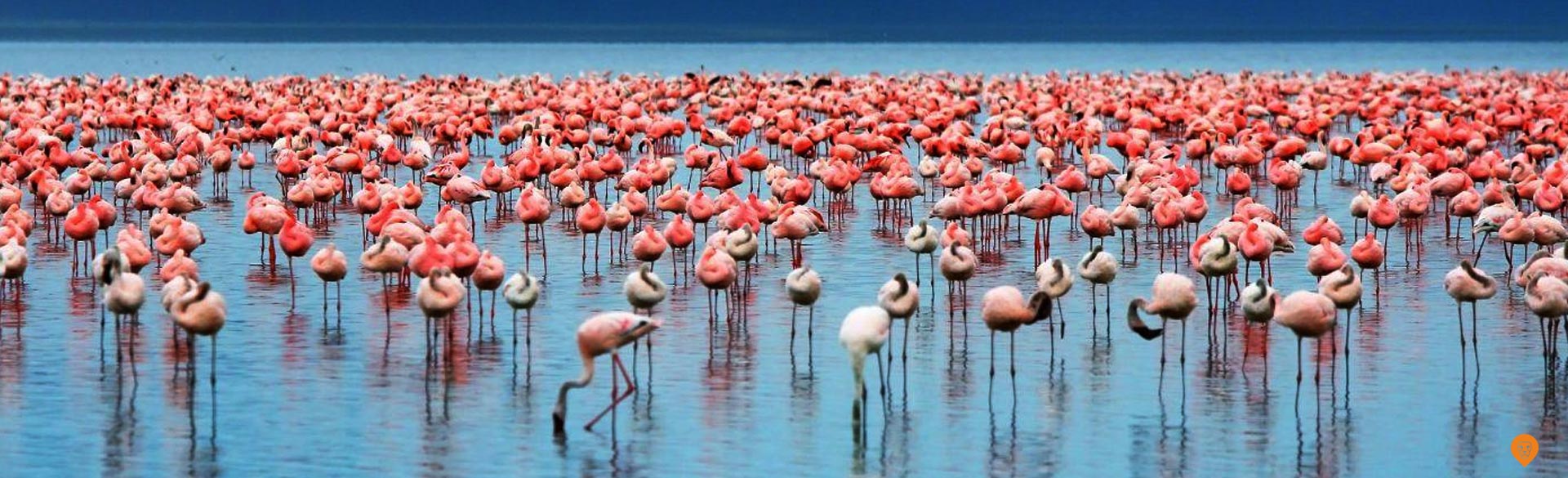 Lake Manyara